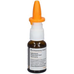 Euphorbium compositum-Heel® Nasenspray