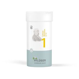 Schüßler-Salze 1 Calcium  fluoratum D12 Tabletten