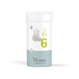 Schüßler-Salze 6 Kalium sulfuricum D6 Tabletten