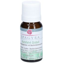 SPAGYRA Autofahrt Golobuli