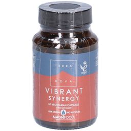 TERRANOVA Belebende Synergie