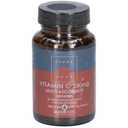 TERRANOVA Vitamin C 250 mg