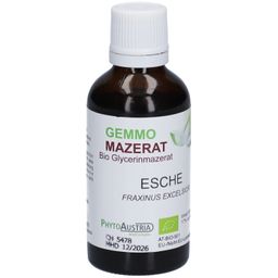 PhytoAustria Gemmo Mazerat Bio Esche