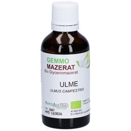 PhytoAustria Gemmo Mazerat Ulme Bio Glycerinmazerat