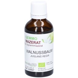 PhytoAustria Gemmo Mazerat Walnussbaum Bio Glycerinmazerat