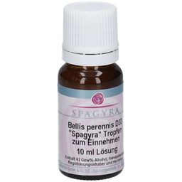 SPAGYRA Bellis perennis D30