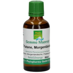 Phyto pharma Gemmo Mazerat Platane, Morgenländische
