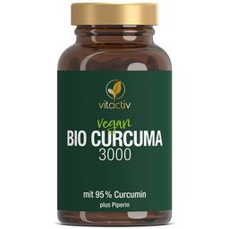 Vitactiv Curcuma 3000 - Bio