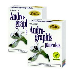 Andrographis paniculata