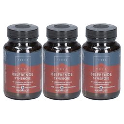 TERRANOVA Belebende Synergie