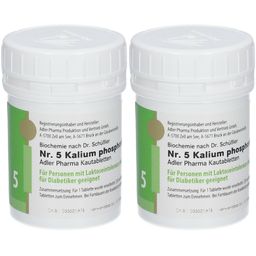 Adler Schüssler Salze Nr. 5 Kalium phosphoricum D6 Kautabletten