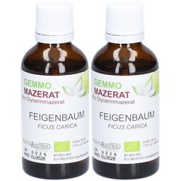 PhytoAustria Gemmo Mazerat Feigenbaum Bio Glycerinmazerat
