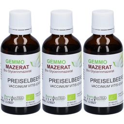 Gemmo Mazerat Preiselbeere – Gemmotherapie für Verdauung und Harnwege