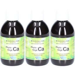 Phyto Vége Ca – Calcium aus pflanzlichem Extrakt von Euro Sante Diffusion
