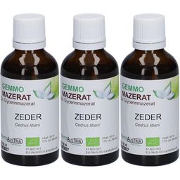 Gemmo Mazerat Zeder