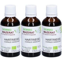 Gemmo Mazerat Hartriegel