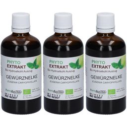 Gewürznelke Tinktur Bio Phyto Extrakt