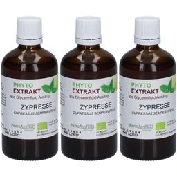 Zypresse Tinktur Bio Phyto Extrakt