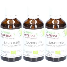GEMMO MAZERAT BIO SANDDORN