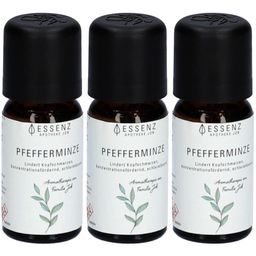 Essenz Pfefferminze ätherisches