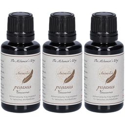 The Alchemist`s Way pegasus – Gelassenheit