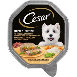 Cesar Schale 150g Garten Terrine mit Geflügel, Gemüse und Reis