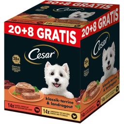 CESAR Schale PLUSPACK 20 + 8 GRATIS (2 Sorten)