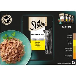 Sheba Frischbeutel 85g 12 Pack Delikatesse in Gelee Geflügel Variation