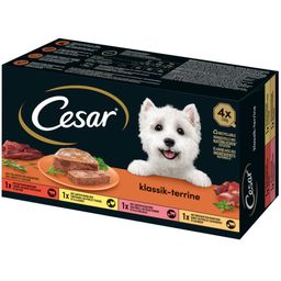 Cesar Schale 150g 4 Pack Klassik Terrine - Selektion