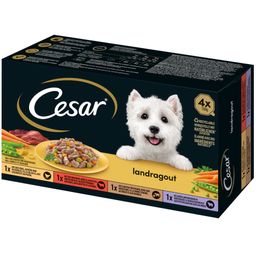 Cesar Schale 150g 4 Pack Landragout - Vielfalt in Sauce
