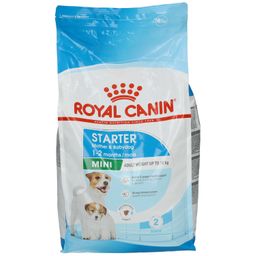 ROYAL CANIN MINI Starter Trockenfutter für tragende Hündin und Welpen kleiner Rassen von der 3. - 8. Woche