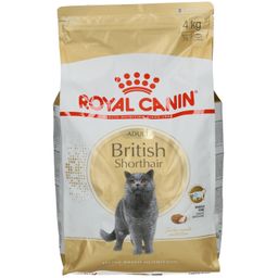 ROYAL CANIN British Shorthair Katzenfutter trocken für Britisch Kurzhaar