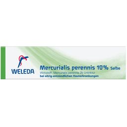 Mercurialis perennis 10% Salbe