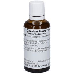 Cichorium Stanno Cultum D 3 Dilution