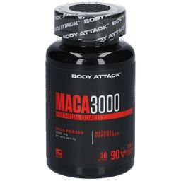 Body Attack MACA 3000