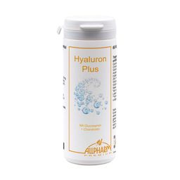 Glucosamin Chondroitin Hyaluron Plus