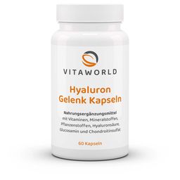 Hyaluronsäure Gelenk 60