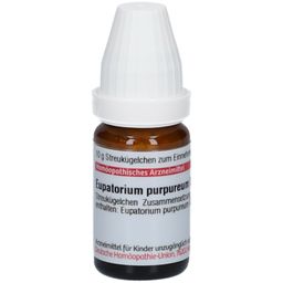 DHU Eupatorium Purpureum D6