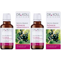 DR. KOLL GEMMO Mazerat schwarze Johannisbeere Dr.Koll Ribes