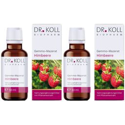 DR KOLL Gemmo-Mazerat Himbeere