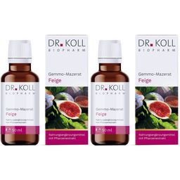 DR. KOLL Gemmo-Mazerat Feige