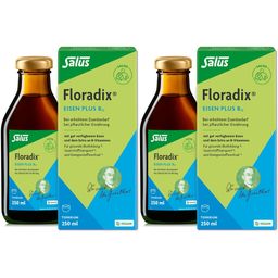 Salus® Floradix® Eisen plus B12 vegan