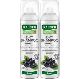 RAUSCH Dry Shampoo fresh