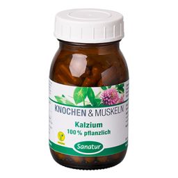 Sanatur Kalzium