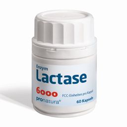 Enzym Lactase - 6000 FCC / 60 Kapseln