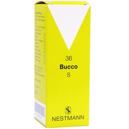 Bucco Nestmann