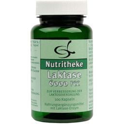 green line NUTRITHEKE Laktase 6.000 FCC