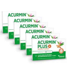 Acurmin PLUS® Kurkuma Kapseln, 10.000mg Kurkuma Pulver/Tag