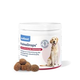 PulmoDrops® für Hunde