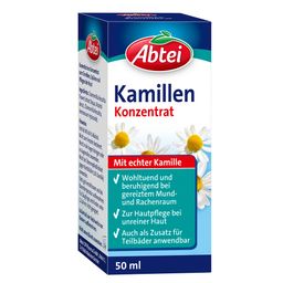 Abtei Kamillen